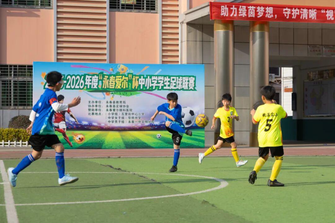 欧洲杯直播-冠军出炉！永春县小学生足球联赛圆满落幕